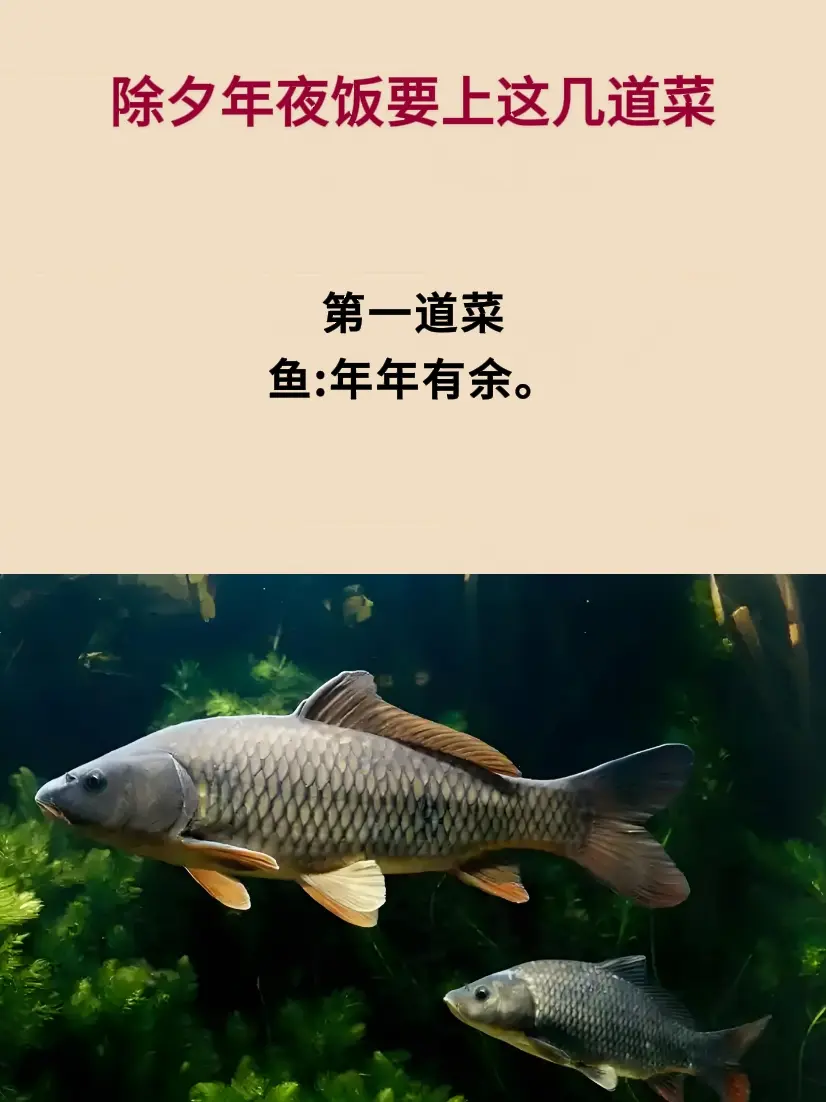 过年 春节习俗 提升自己