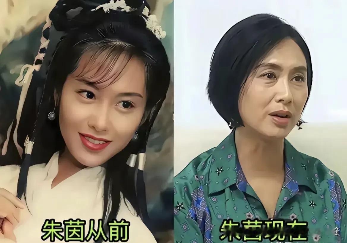 曾经她们惊艳了荧幕，
成为无数人年少时光里难忘的风景。
一张旧照是青葱年华，一张