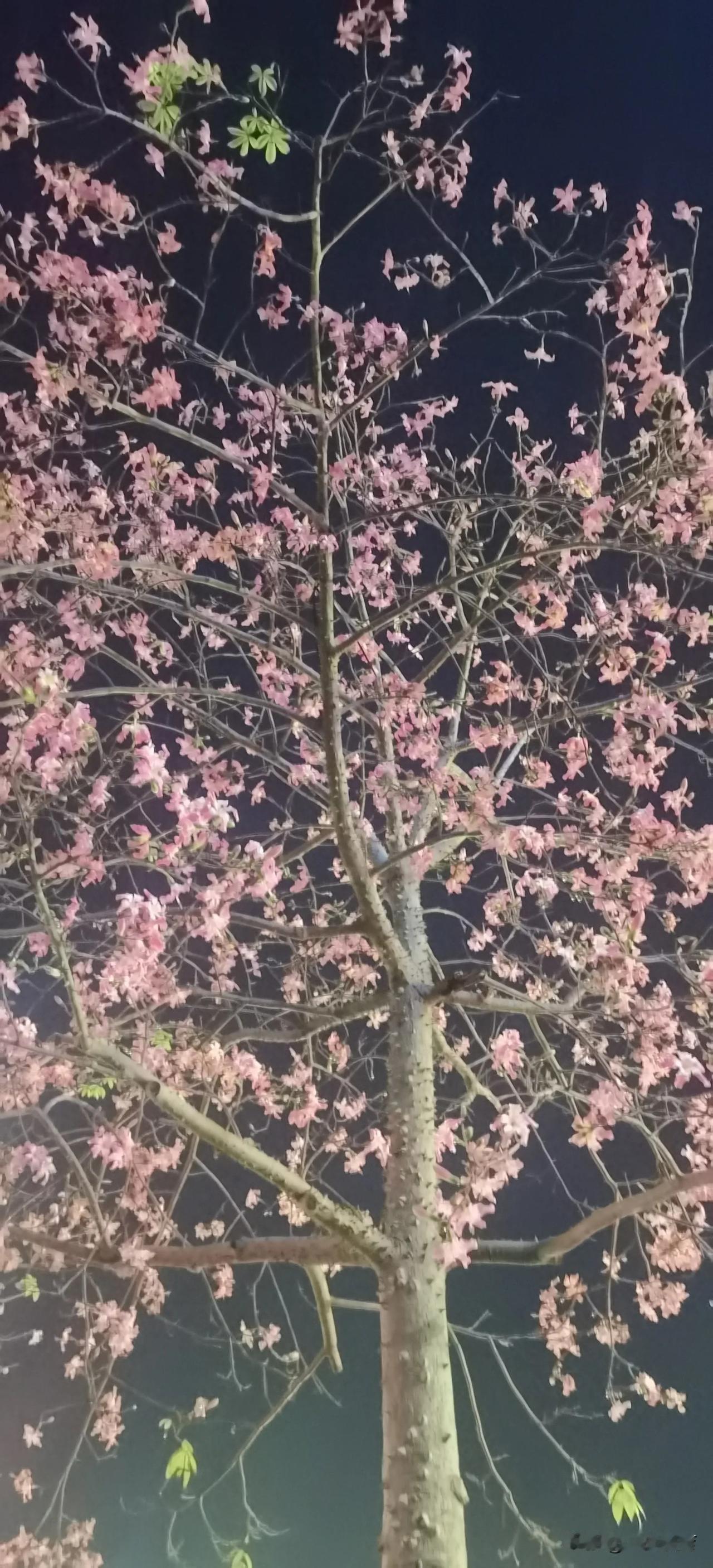 拍一张你的城市美景