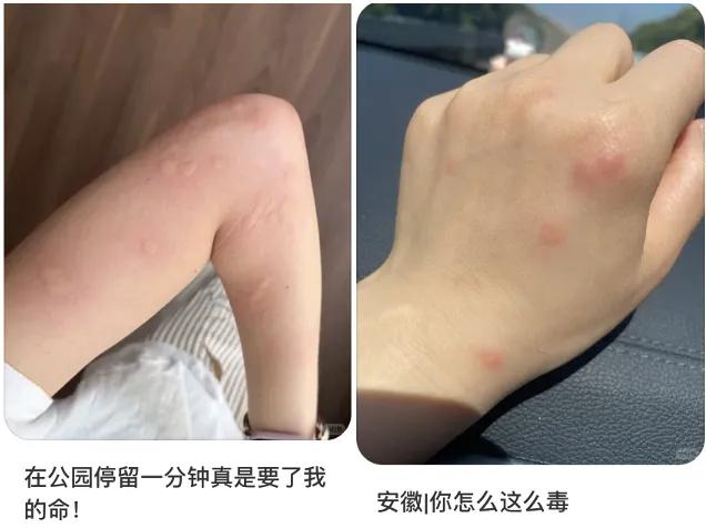 蚊子大爆发！你家里这些角落，正在偷偷养蚊子

有没有发现！最近家里蚊子突然泛滥