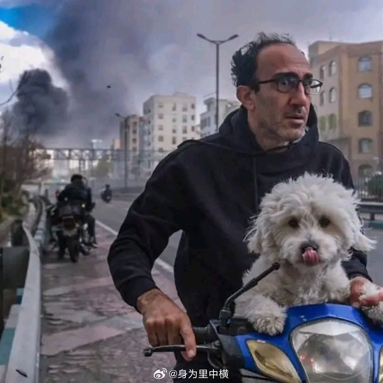 美以轰炸下的德黑兰男子和狗子！希望战争早日结束，人的一生是短暂的，脆弱的生命无法