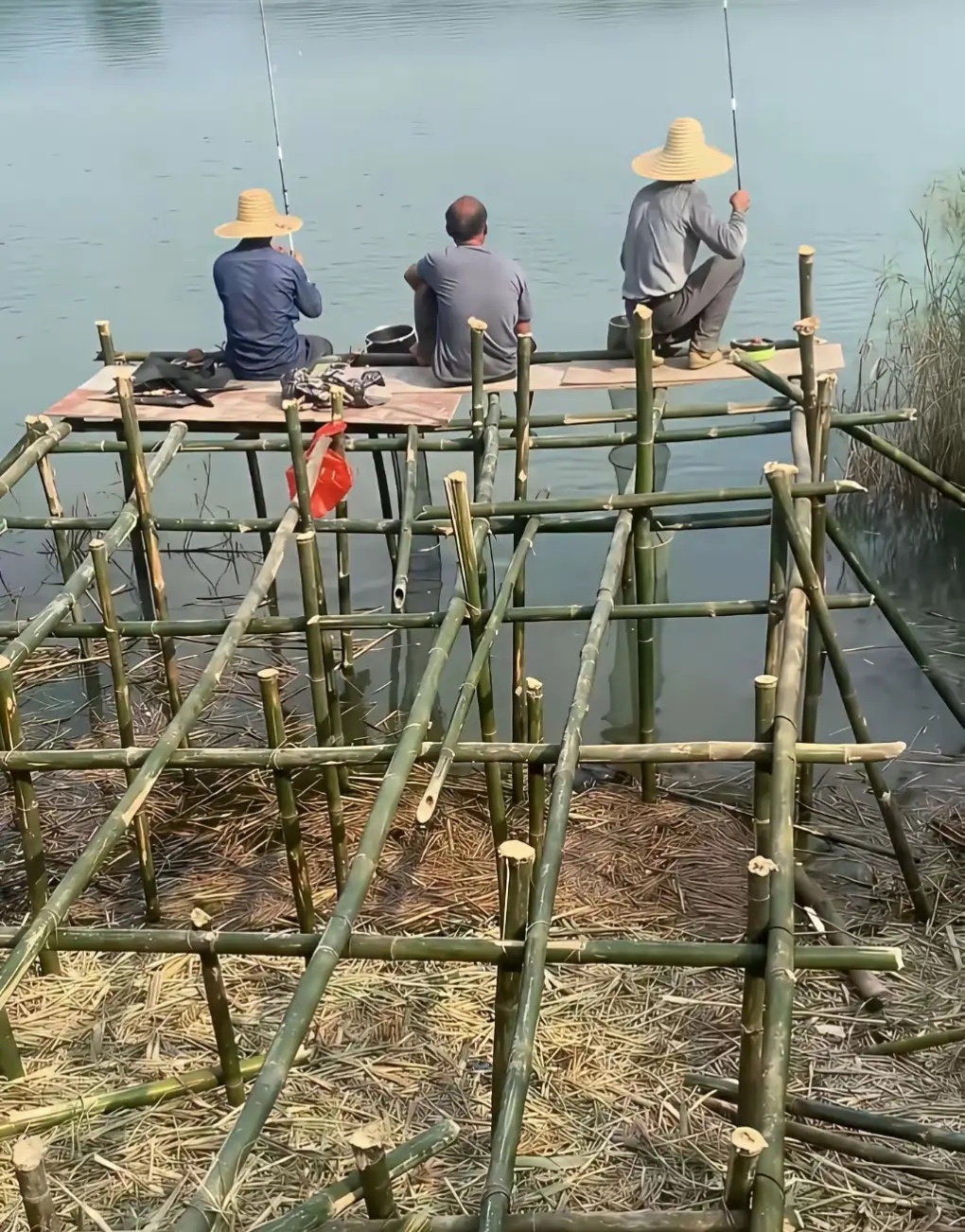 一个钓鱼佬无畏，三个钓鱼佬无敌。 
