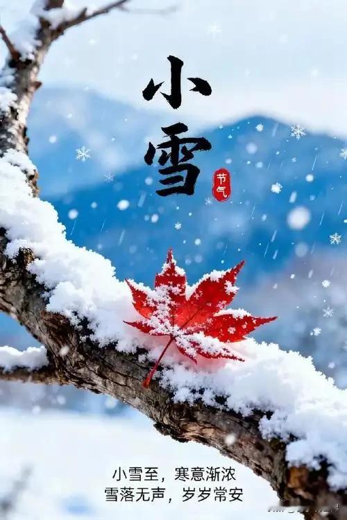 进入小雪节气后，艾灸是防寒保暖、温壮元阳的好助手。
       小雪是24节气