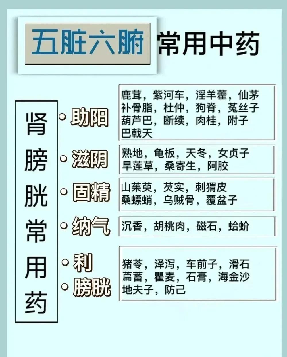 想要了解五脏六腑的中草药调理方法吗？今天，我为大家带来了一份五脏六腑常用中草药汇