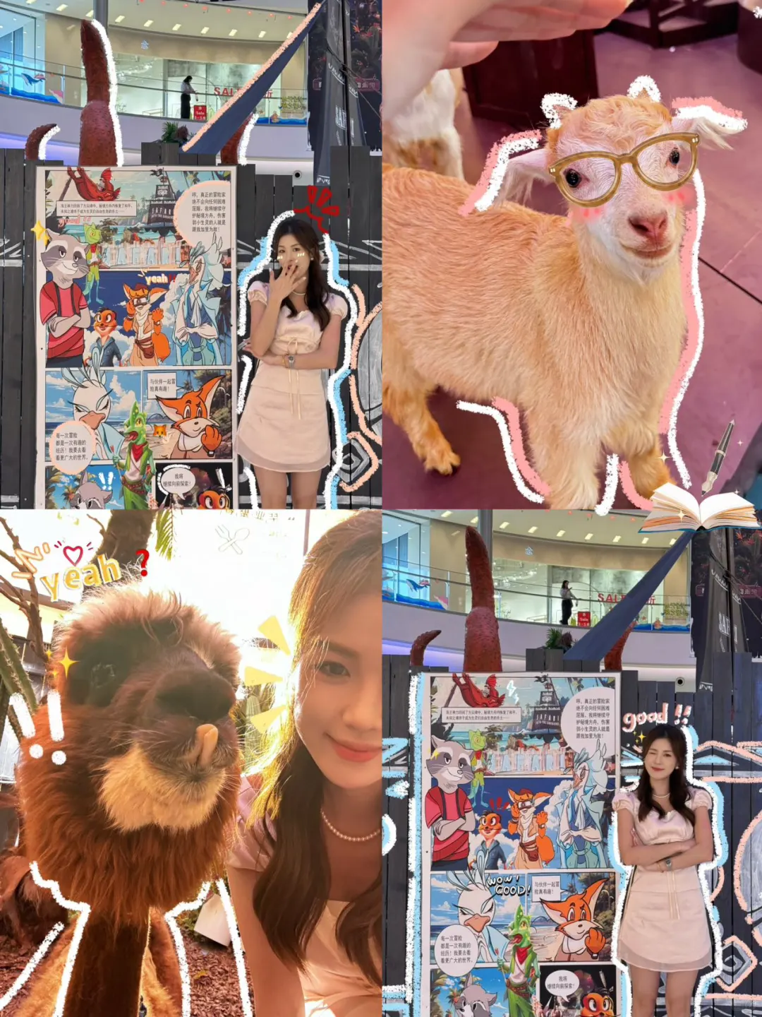 动物园里有什么❓🦙🐑🦃🦦🦧🦒🦜🕊️🐿️