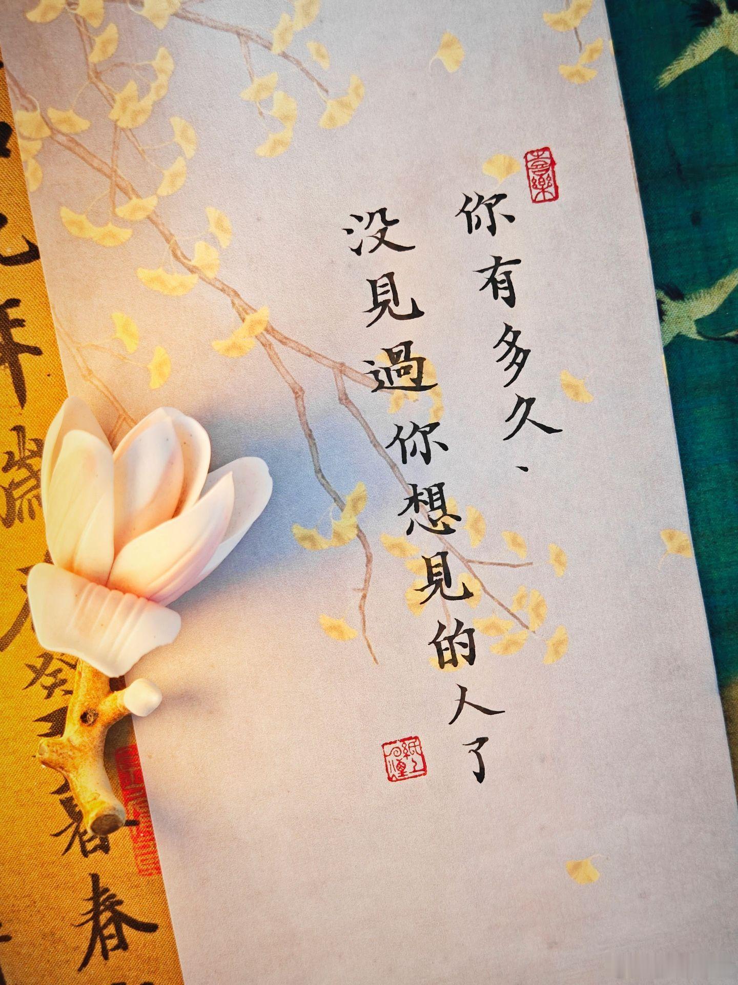 情感 你有多久，没见过你想见的人了？不是朋友圈里的动态，不是对话框里沉默的头像，