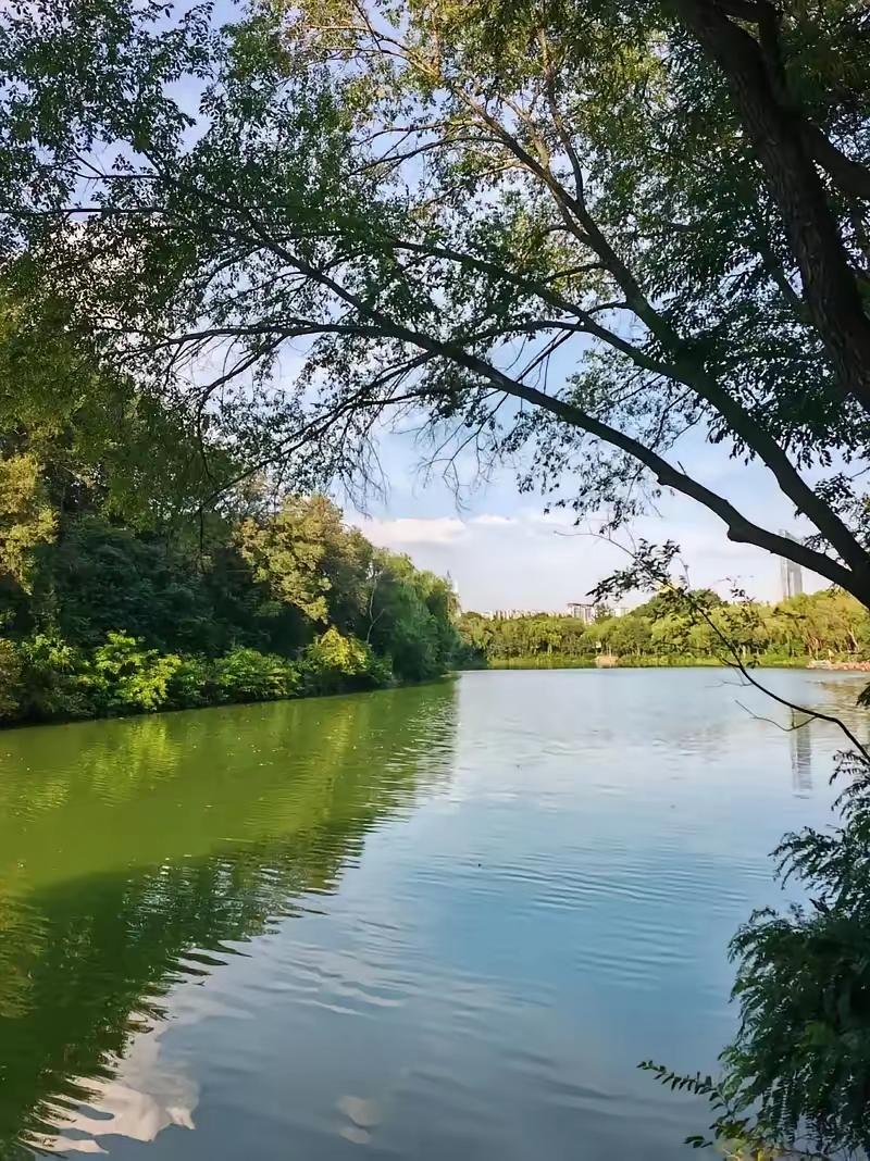 一段很有道理的话：把孩子教育好了，你30年来没挣的钱，他三年给你挣回来；而相反，