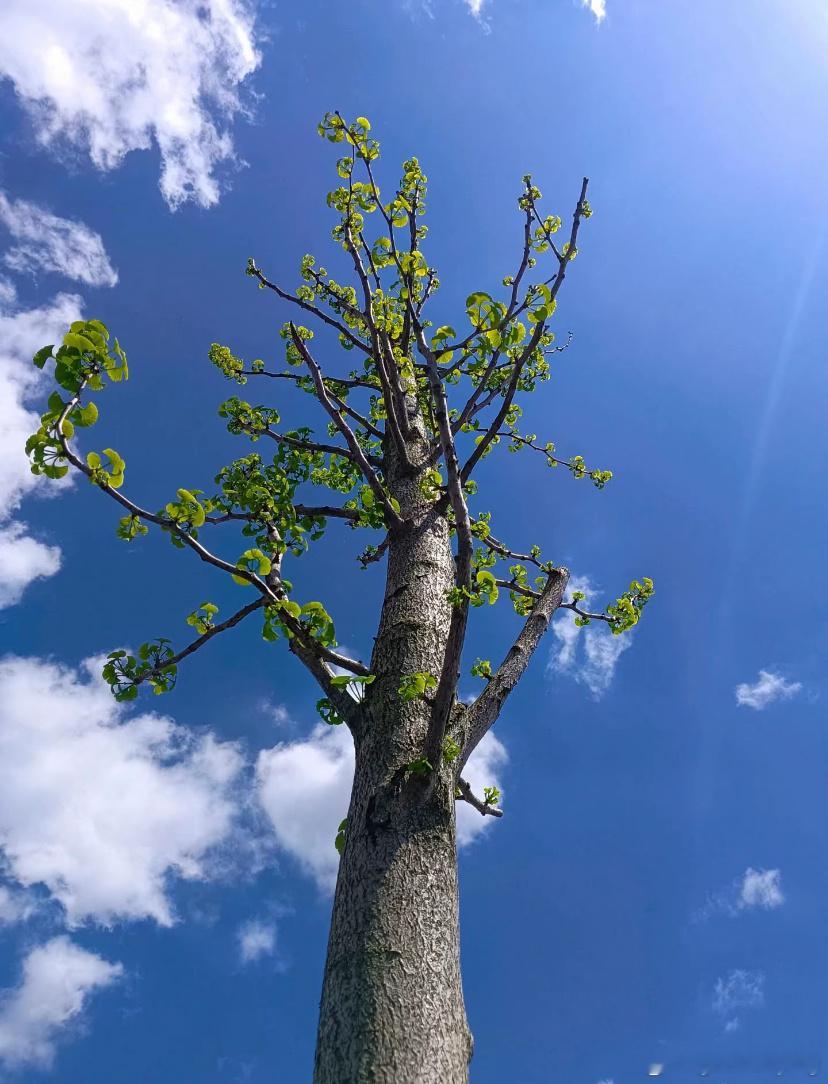 每日一善  世上进化，诚是不易言。熙熙攘攘，果何为者。何若“退一步想”知足常乐以