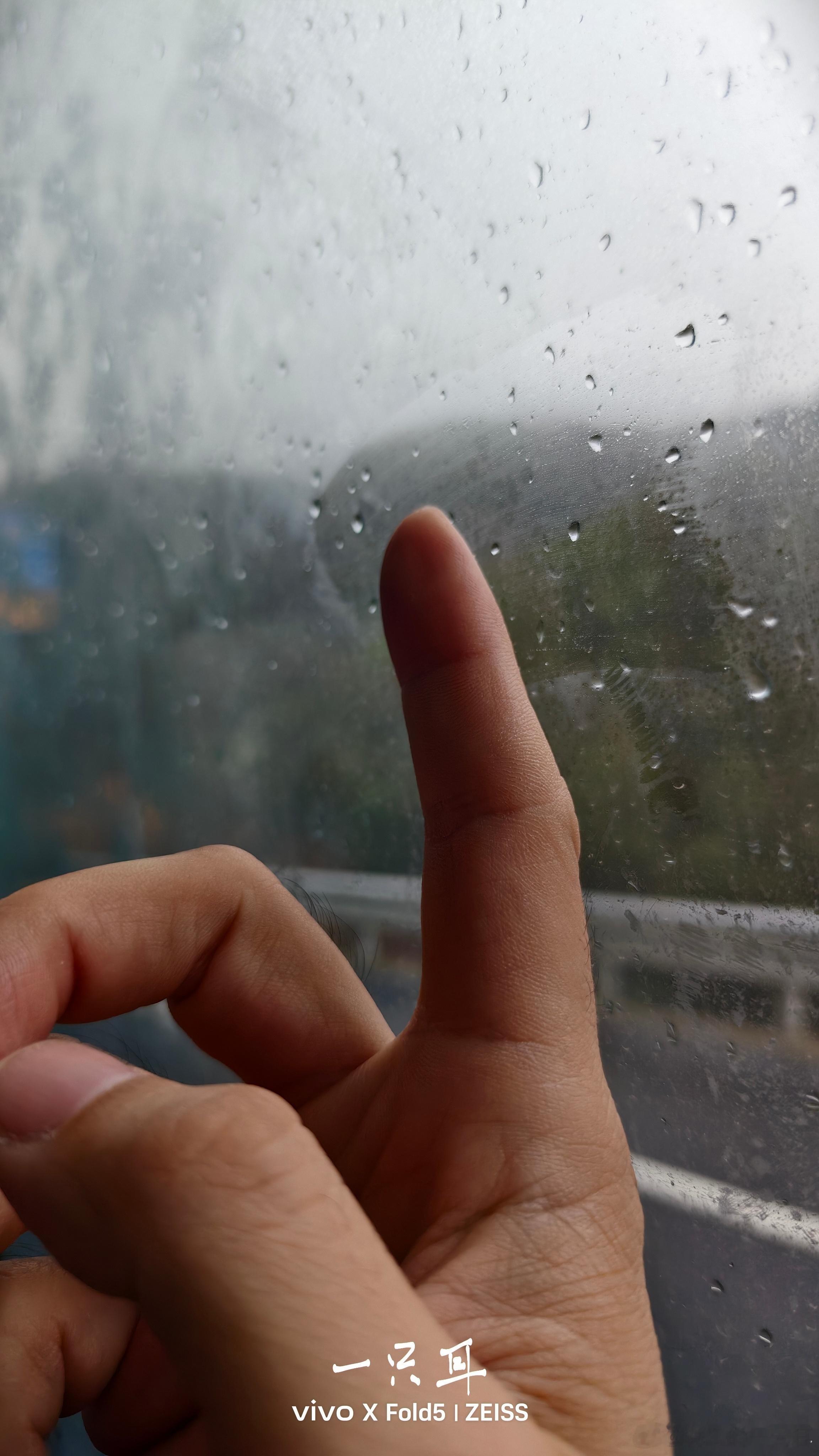 江浙沪冬季的雨天，美。雨后的冷，还会透着一点点凄美。大家注意保暖。 