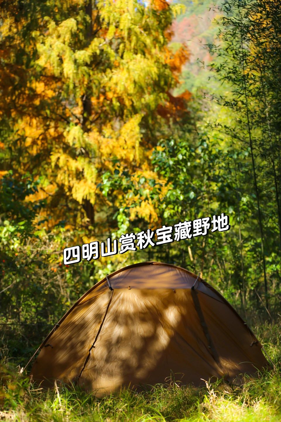 山野中的露营 ｜宁波四明山秋色小众宝藏地