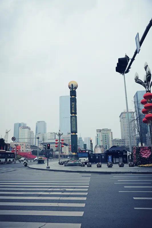 成都算得上国际大都市。它历史底蕴深厚，有2300多年历史，宽窄巷子的蜀绣、川剧等