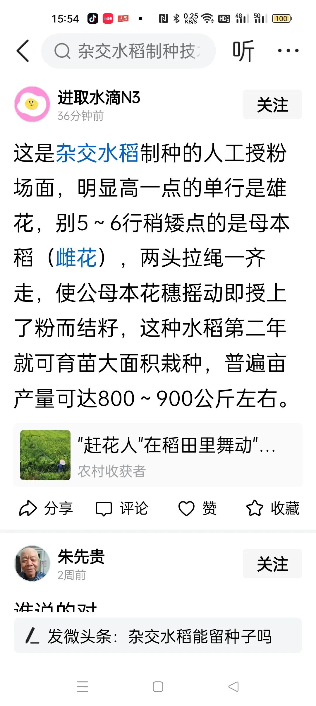 农民们说，杂交水稻没有我们积极性重要，我们积极性高起来，一年可以让粮食亩产翻几番