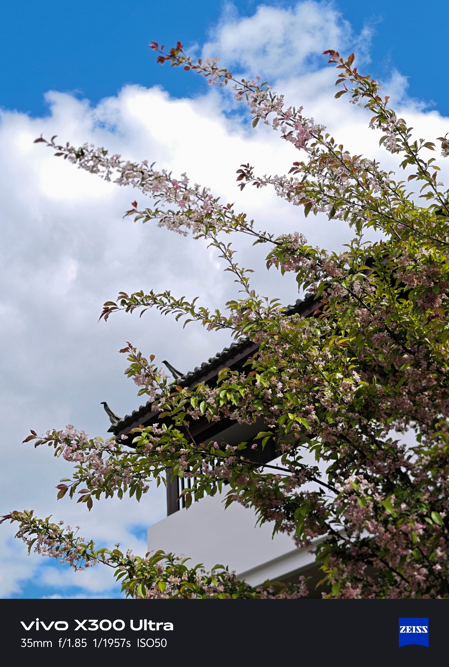 那些美好的瞬间vivo X300 Ultra专业V单  早！丽江～这两天住的酒店