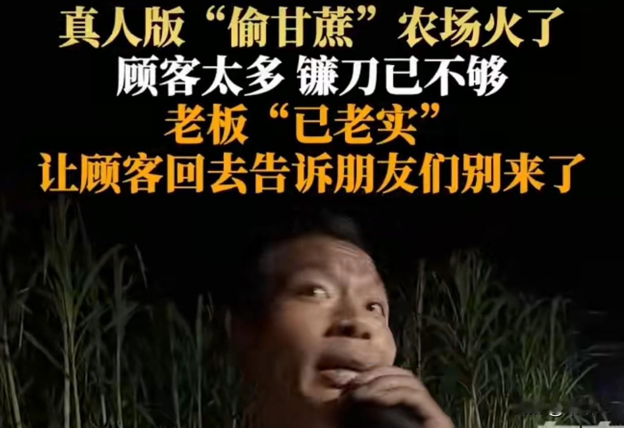 眉山老板急得让顾客骂自己！9.9元偷甘蔗咋就火到要“劝退”？
 
咱说这四川眉山