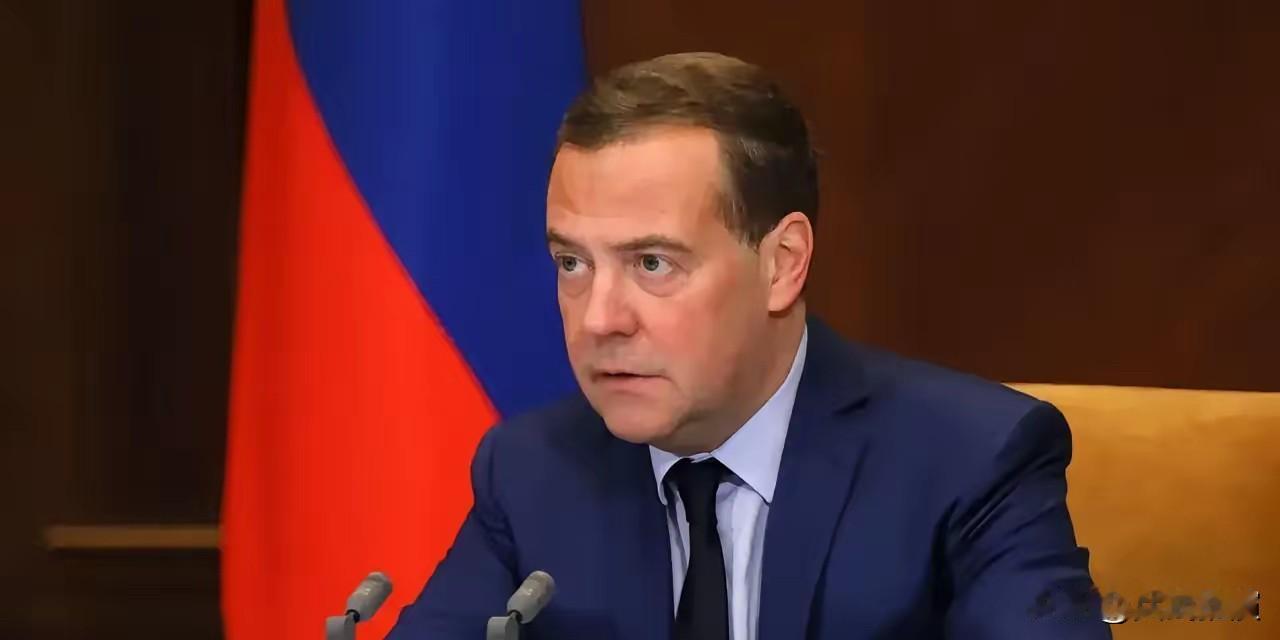 12月30日，俄罗斯安全会议副主席梅德韦杰夫在电报频道发表年终感怀

梅德韦杰夫