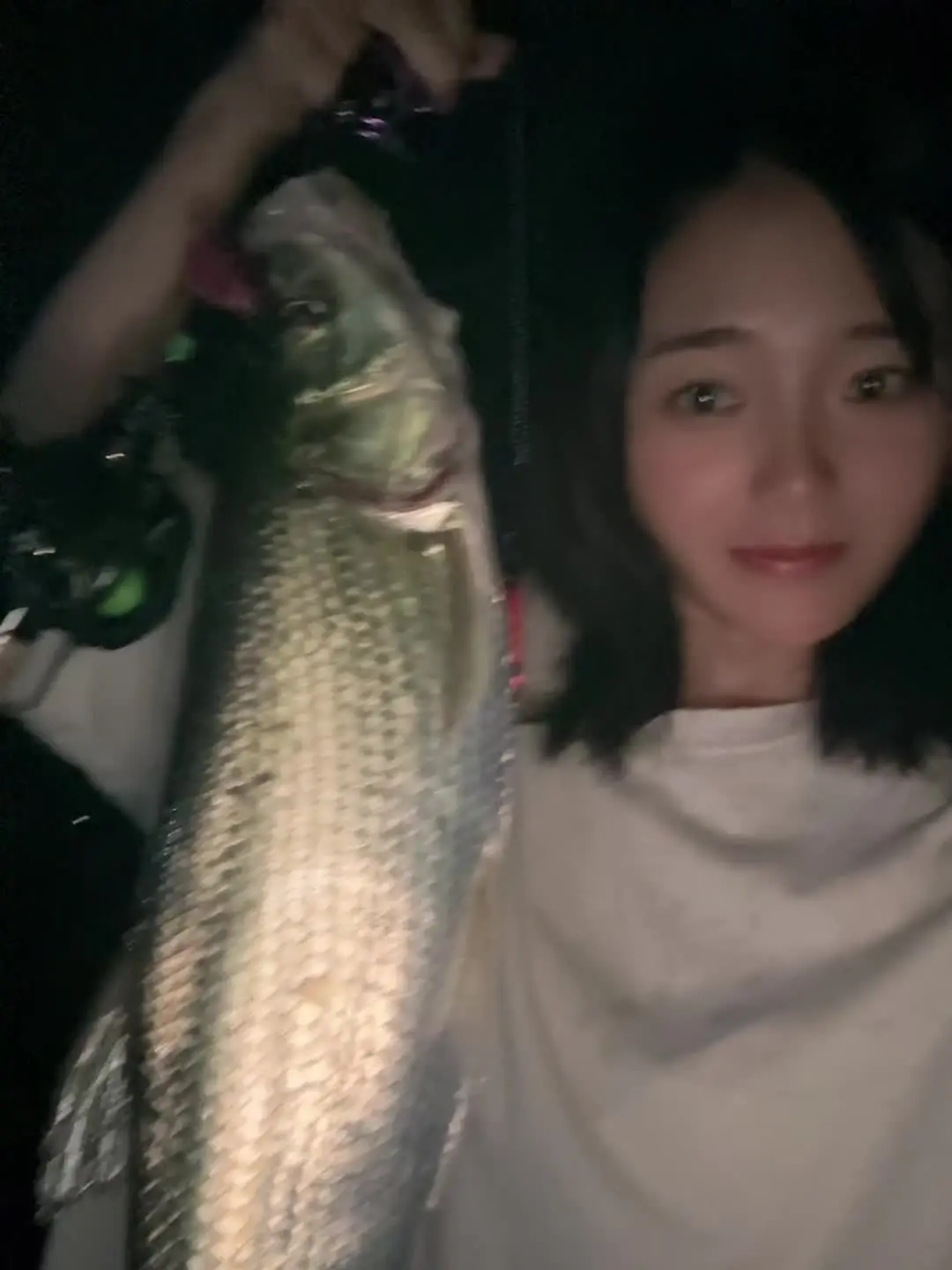 原来波爬这么好玩，吓我一跳🤣