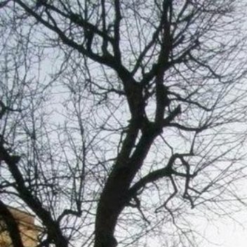 1200有句话说，“与人为善，福虽未至，祸已远离。”其实，不仅仅如此，能把别人放