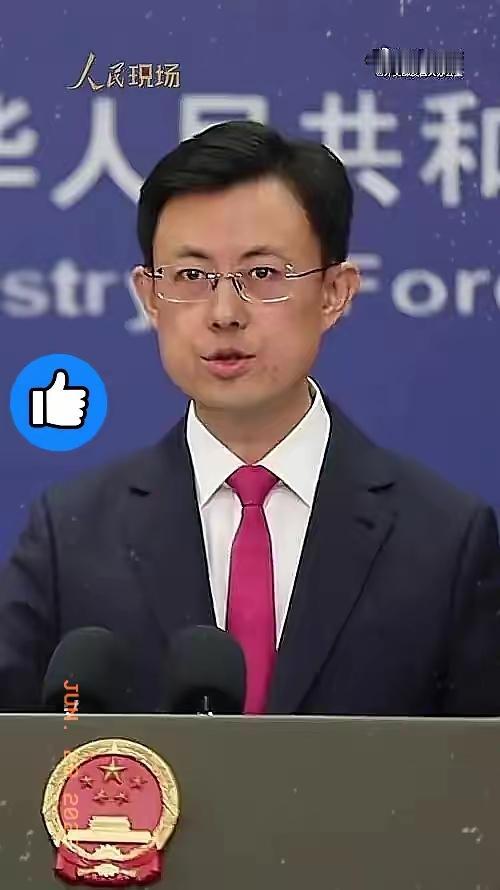 中国外交部正式宣布，6月29日，中国外交部正式对外宣布：中国政府决定，在之前已经