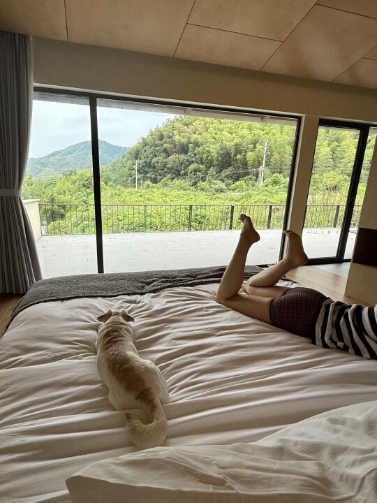 摸鱼时怀念下这个绍兴民宿🥹