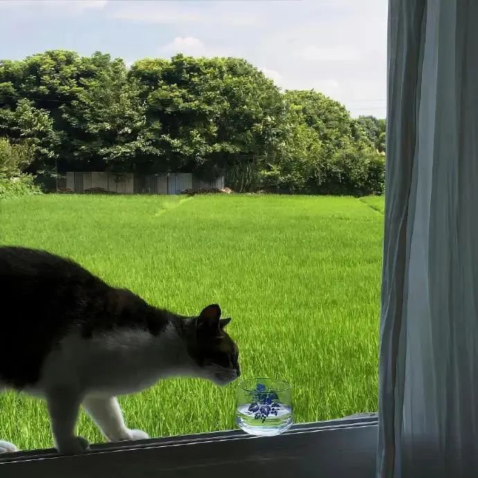 高级绿色朋友圈背景图 