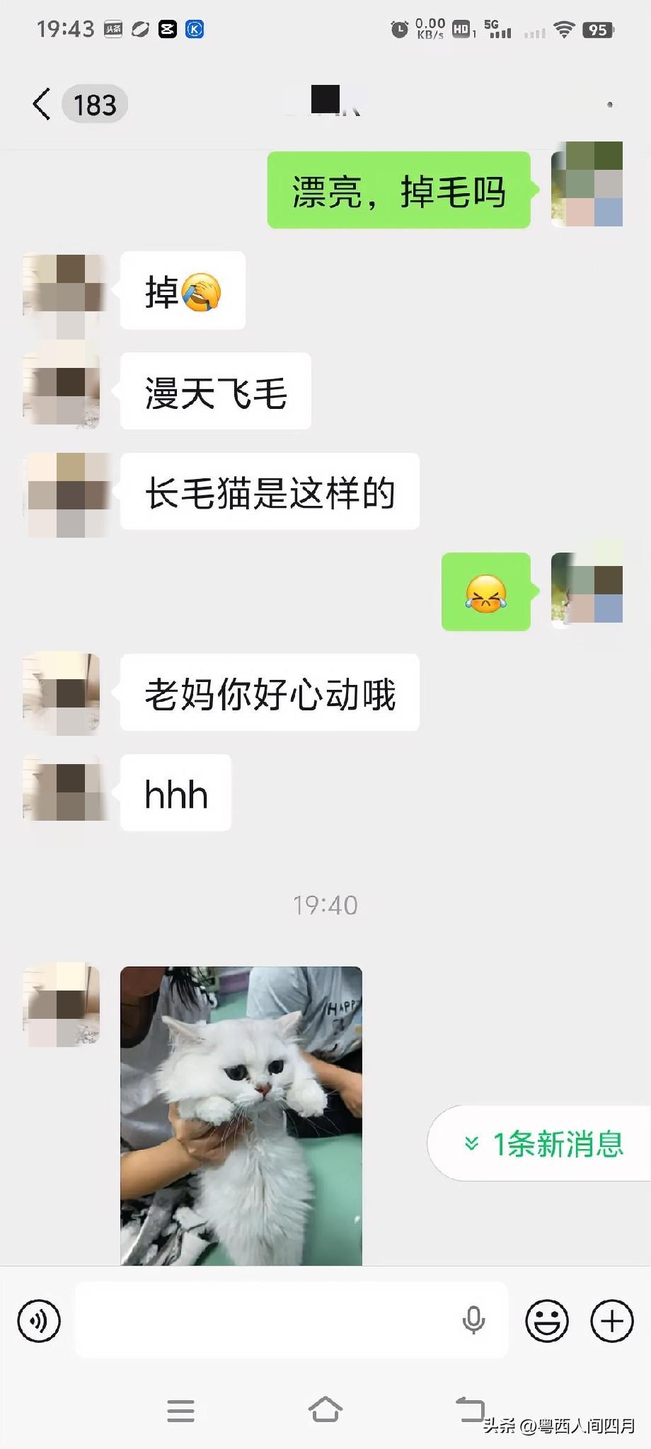 读宠物医学的女儿每天给我分享她的校园生活，特别是过关斩将加入猫狗志愿队后，每天都