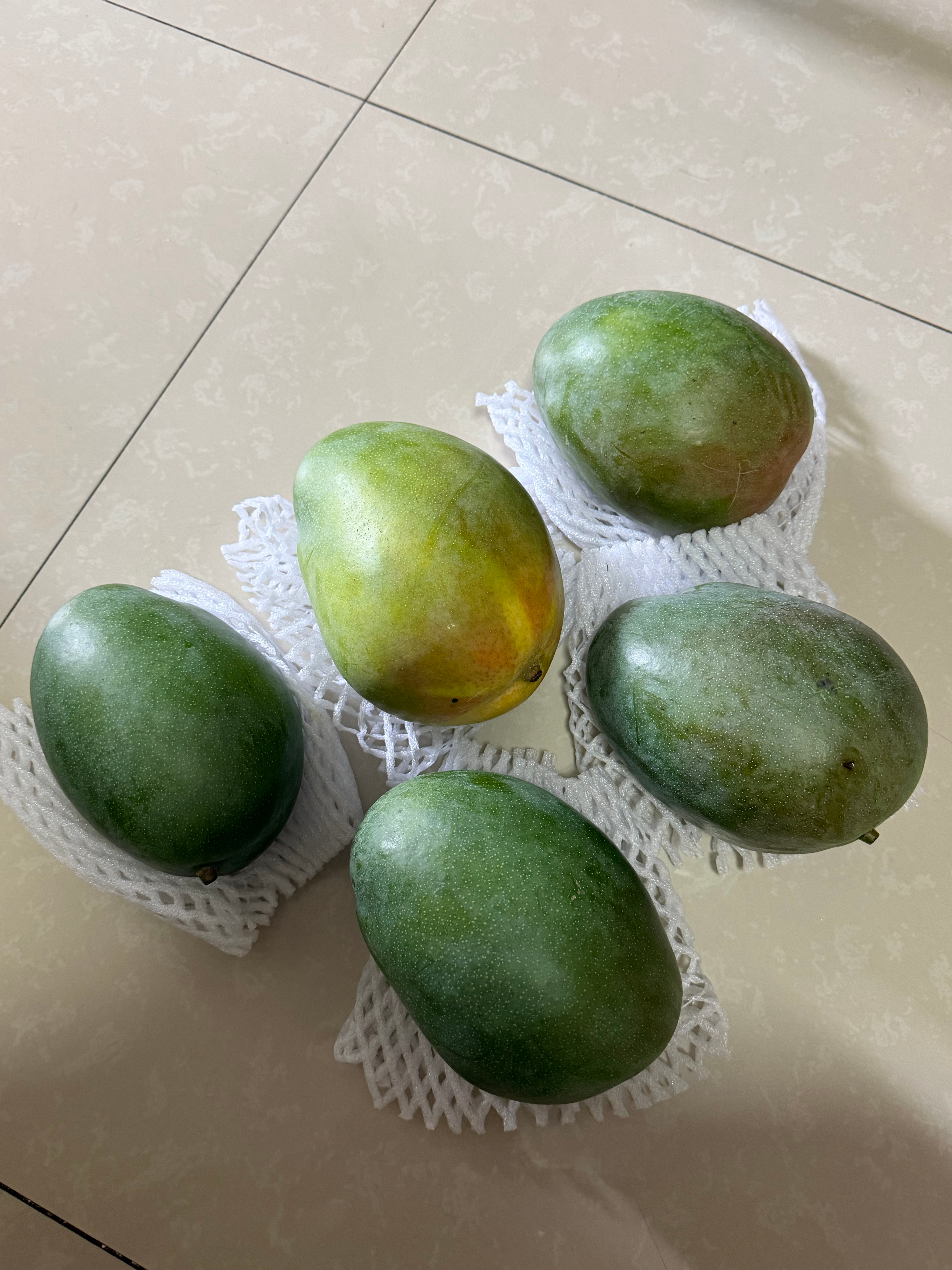 巨大芒果 ​​​
