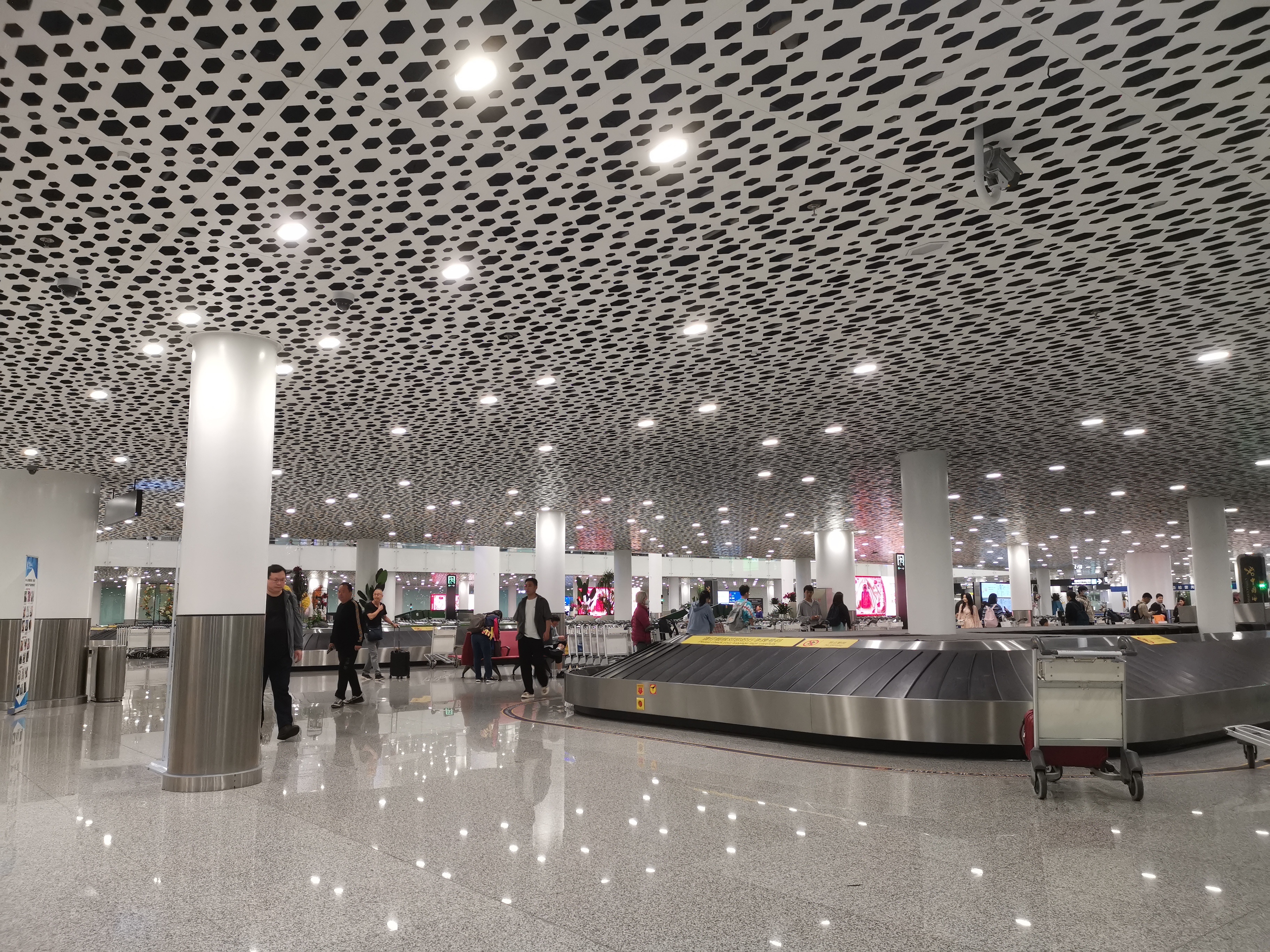 穿着短袖落地13℃的深圳，凉快🛬  ​​​