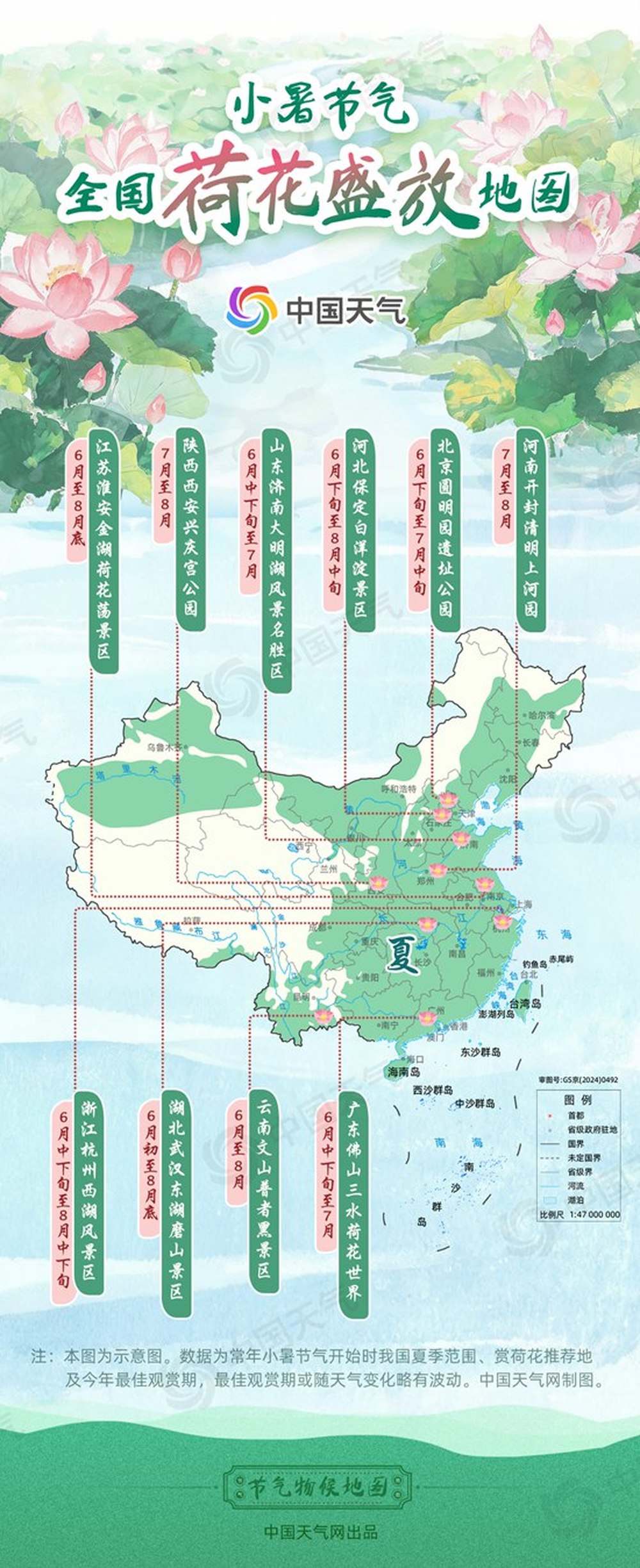 小暑伏将至，全国荷花盛放地图出炉，济南大明湖荷花迎盛花期