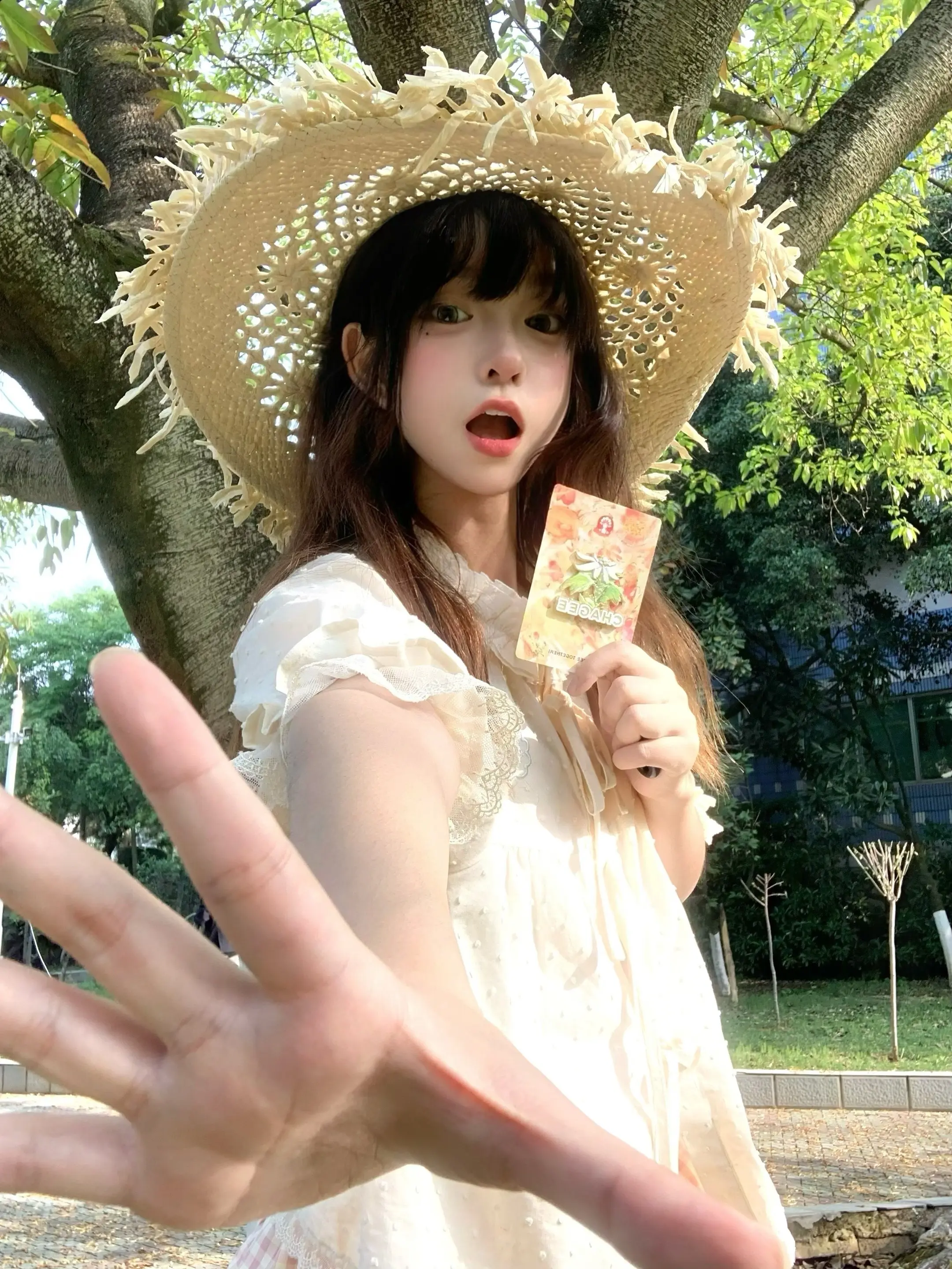 晒太阳ing👒。万象春和好好喝