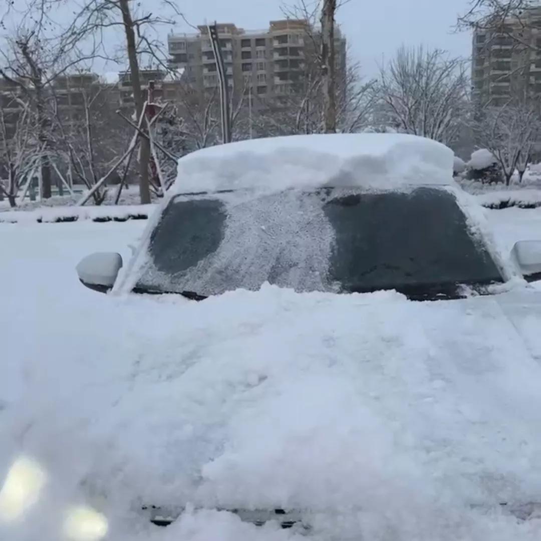 威海文登的雪，浴雪奋战，扫雪扫的让我生无可恋
山东文登的雪已经下了两天两夜，现在
