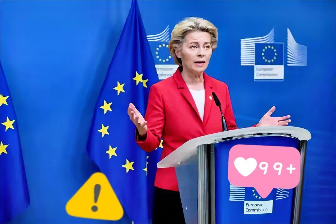 欧盟委员会主席冯德莱恩表示了！

当地时间12月28日，欧盟委员会主席冯德莱恩在