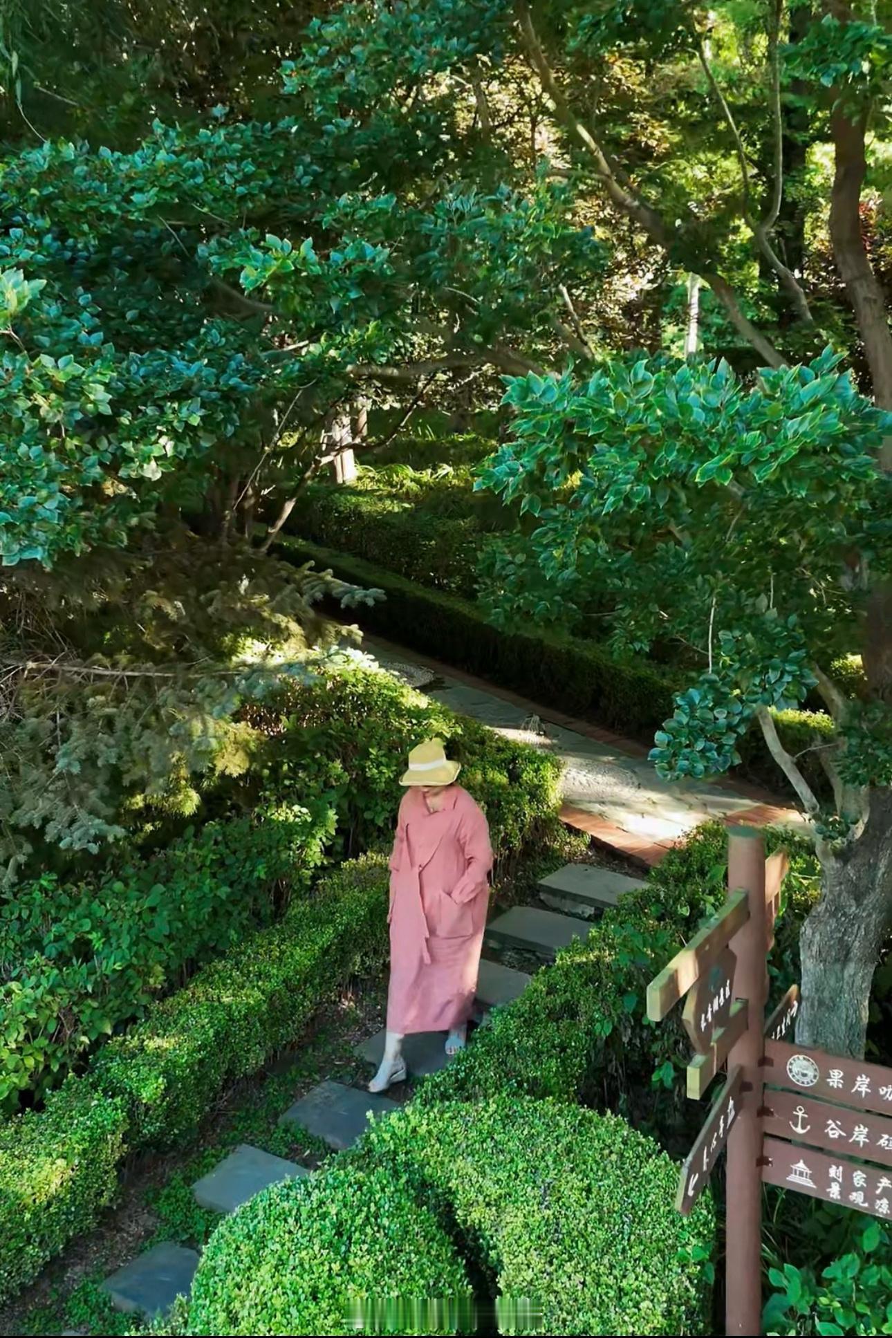 快门轻响在镜头前找到一片宁静的小天地手机摄影九月 ​​​