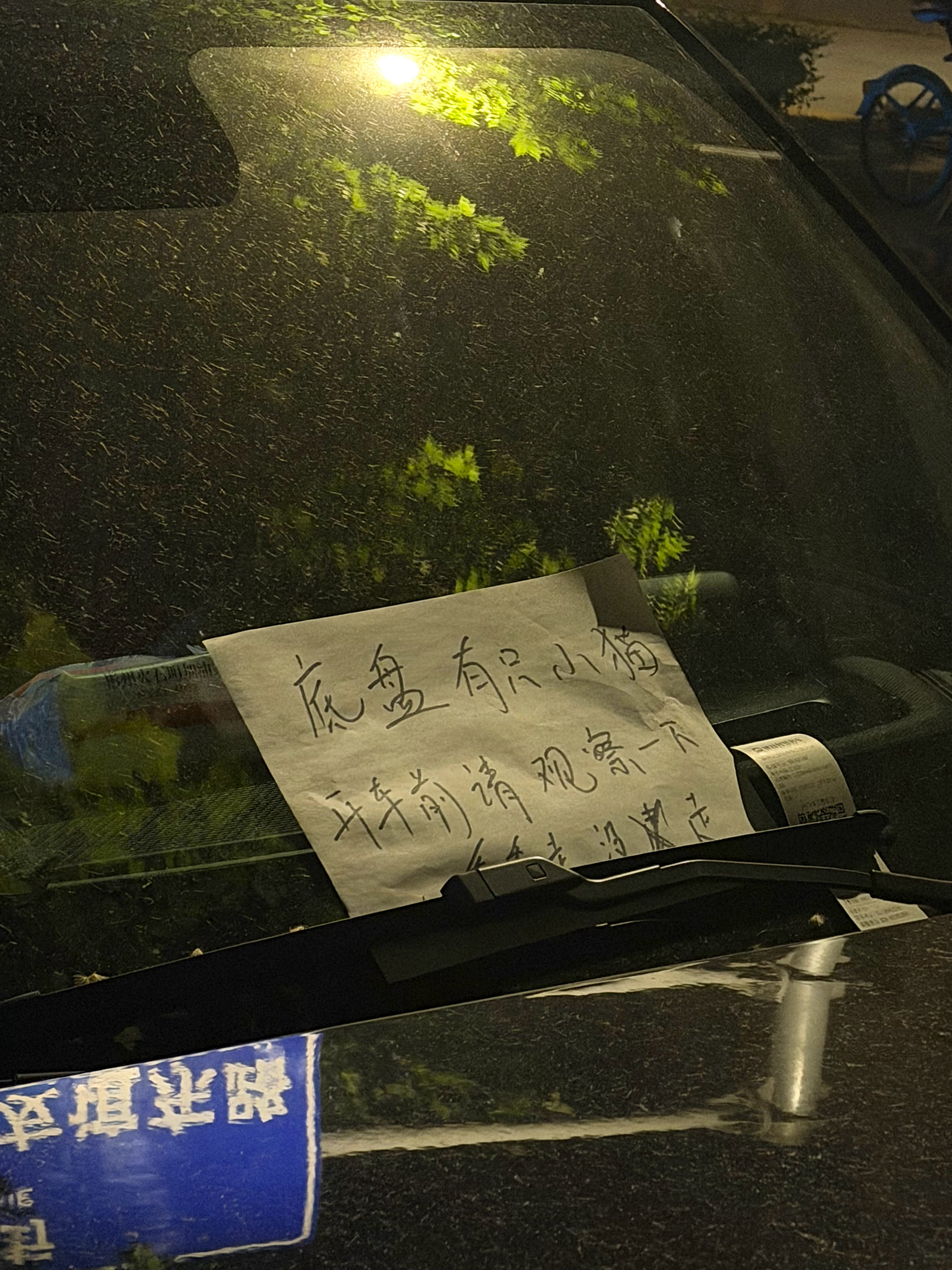 我的妈呀 我就差点明天带着修车钱来赎你了费了九牛二虎之力给车底盘里的小小猫弄出来