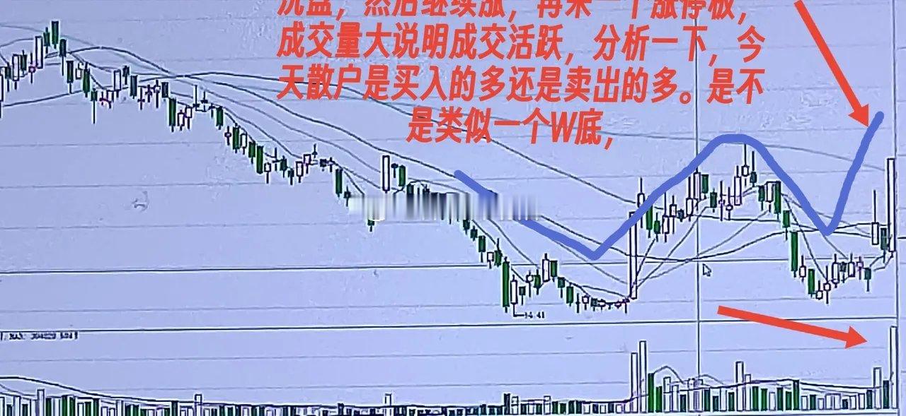 颠覆认知：主力在底部出货几亿散户，性格各自异。什么派别的都有。激进派的喜欢追高，