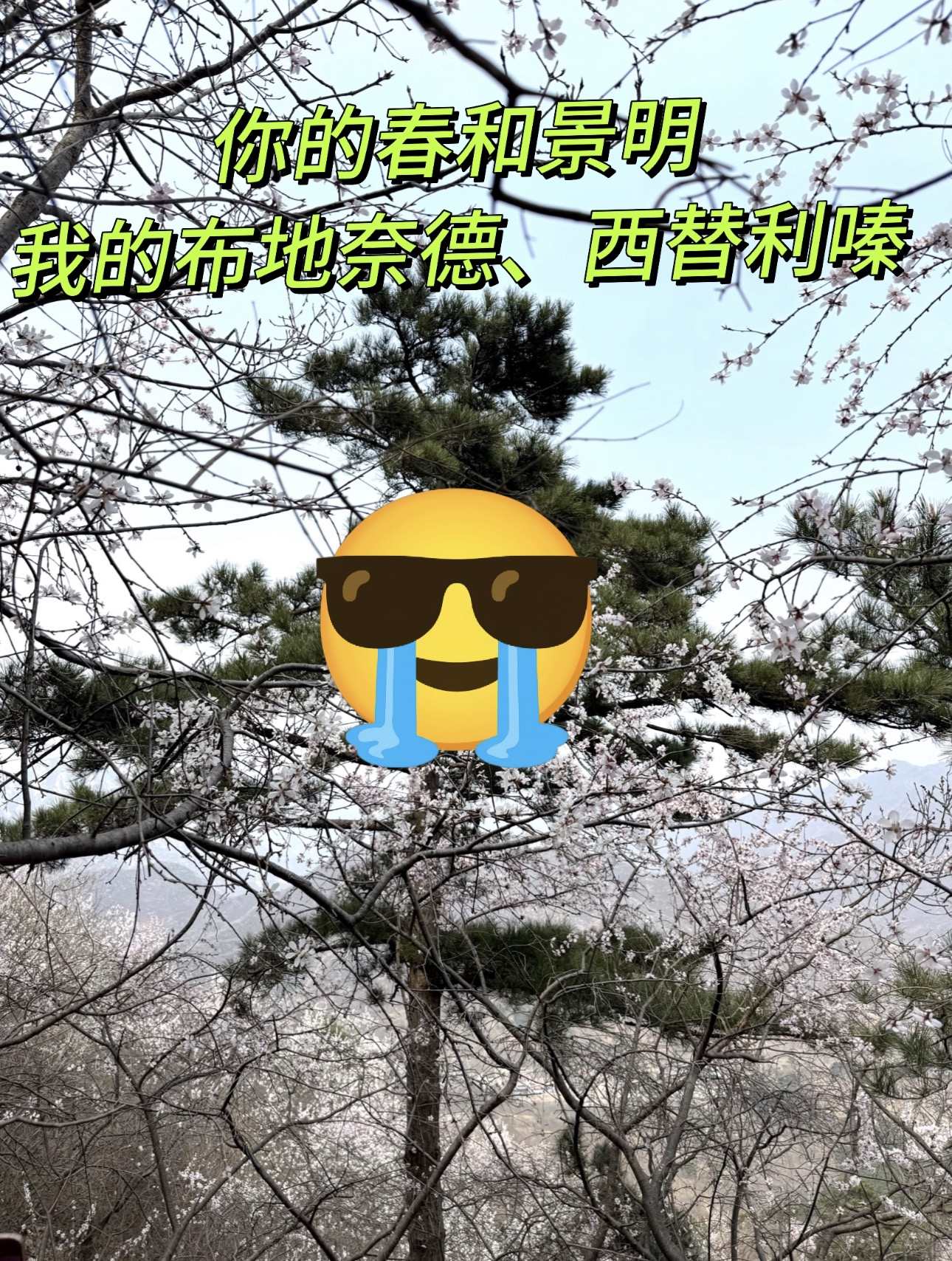 1条plog告别三月你的春和景明，我的布地奈德、西替利嗪…… 谁懂啊！春天是过敏