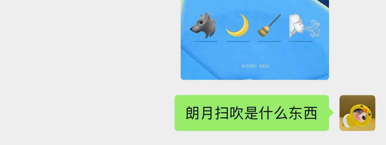 朗月扫吹是什么东西 ​​​