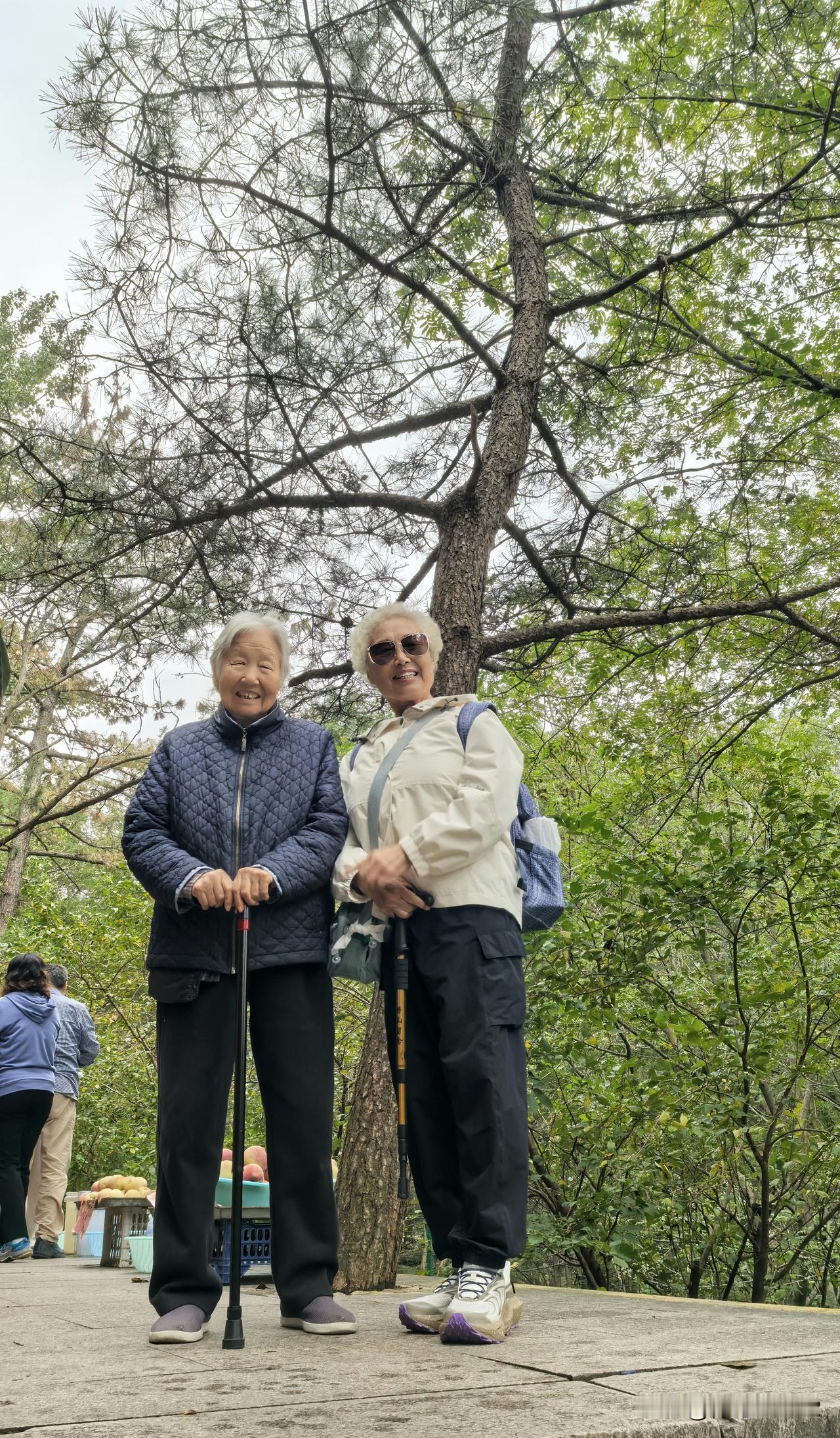 相册里最满意的照片这是今年10月，我去崂山北九水游玩时，在山路上遇到的92岁的大