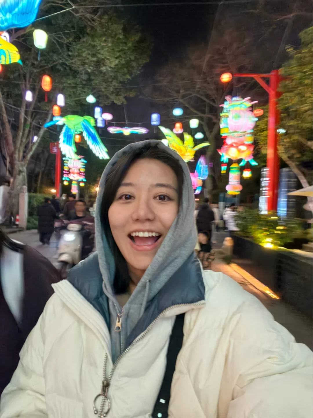 元宵节过了，但杭州的花灯节还在呀！