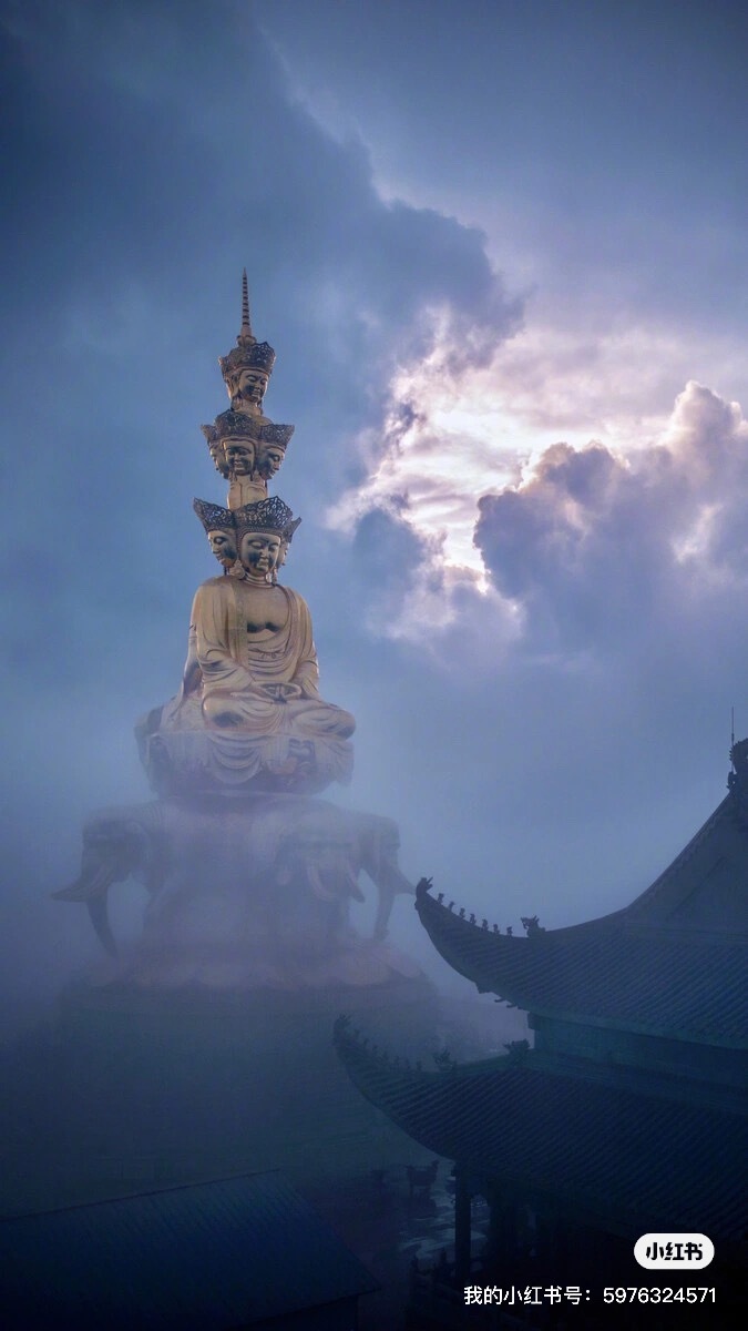 智者，就是一眼从别人身上看见自己的人。这个世界没有他者，只有自己。———《半山文