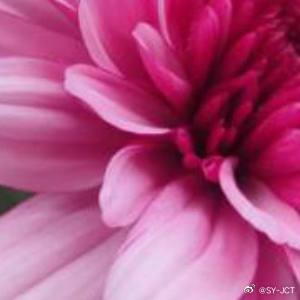 每日一善每日一善 无论有多困难，都坚强地抬头挺胸，人生是一场醒悟，不要昨天，不要