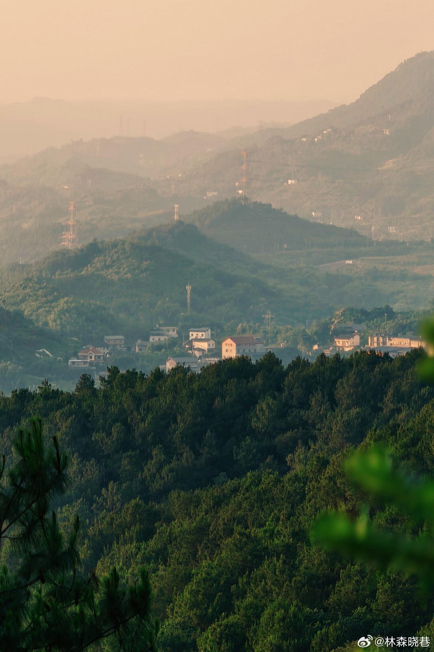 摄影  城市边缘的山野，藏着最温柔的慢时光。按下快门的瞬间，层层叠叠的绿漫进镜头