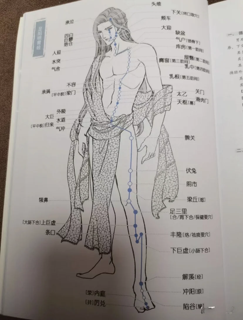 小手法大养生———女生保持年轻的秘密机关