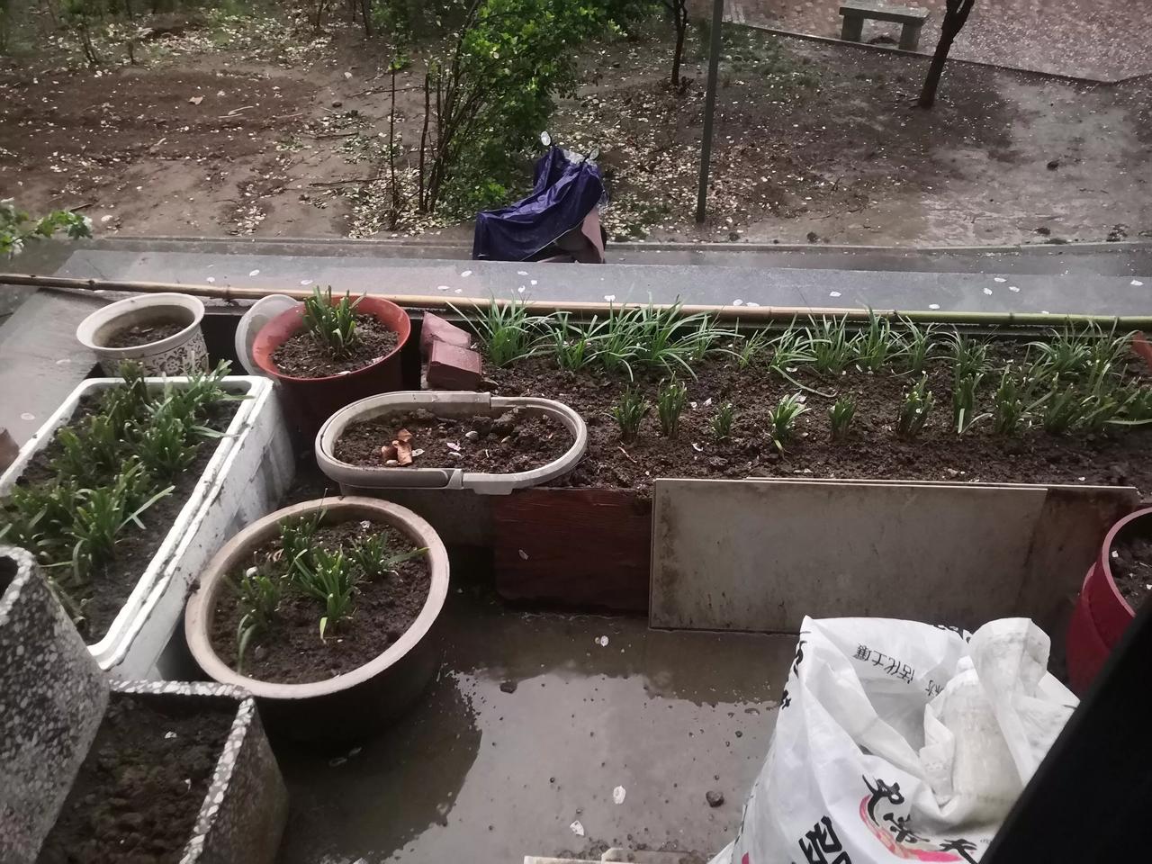 这是哪位人才？
算是开眼了，创造力满分