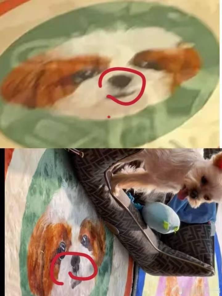 地毯还是盗版的🤣，想造谣也不买个正版的檀健次 刘一诺