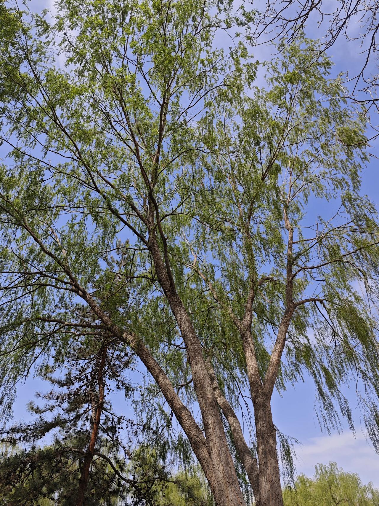 遇事不慌，兜里有钱，心里就有安全感，努力存钱，就是给自己和家人一道防线。想吃的东