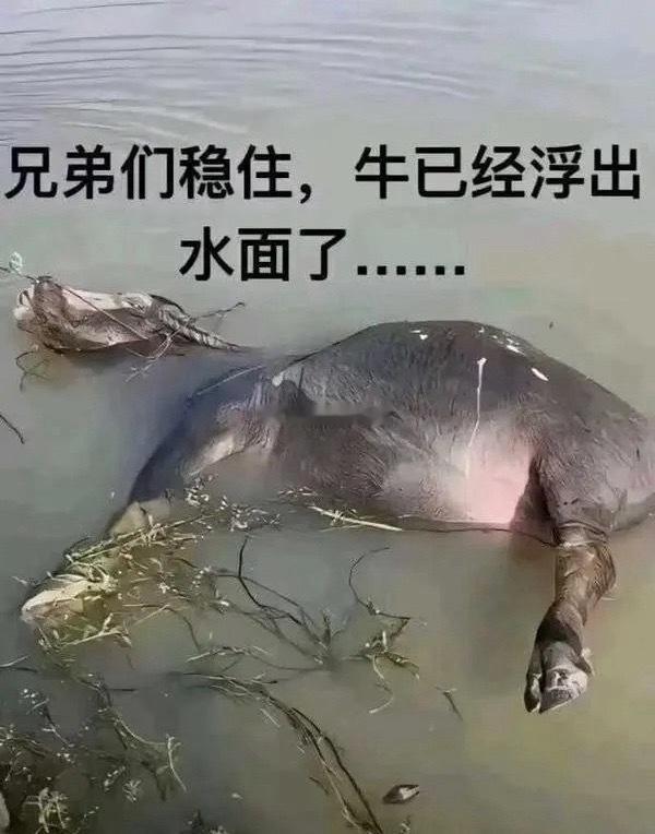 收盘复盘｜今日行情全面梳理，盘面承压多重原因拆解家人们，总算收盘了，今天的盘面属