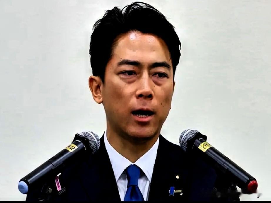 日防长小泉进次郎此番操作，无异于自掘坟墓。
他那所谓抡起的“窝心拳”，非但没伤到