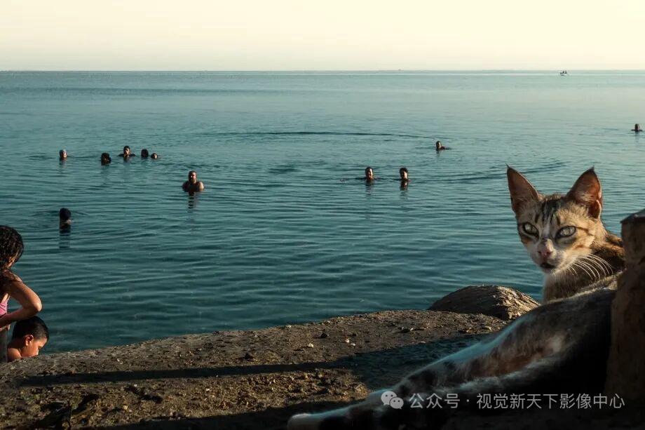 马赫迪耶 
街头摄影师Skander Khlif