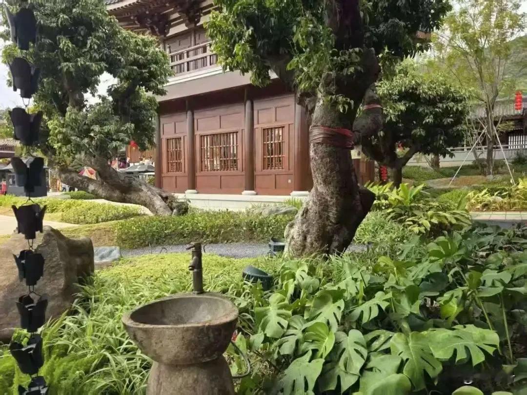 百花古寺岭南本草植物的景观营造契合总体布局。中轴庭院按照须弥山修行的三重境界和正