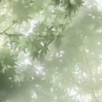 每日一善每日一善阳光信用熊猫守护者 0000以善良为师，得到的是正义和正直的教诲